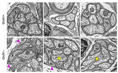 Research Image